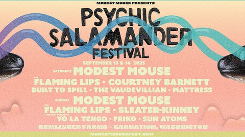 The Psychic Salamander Festival