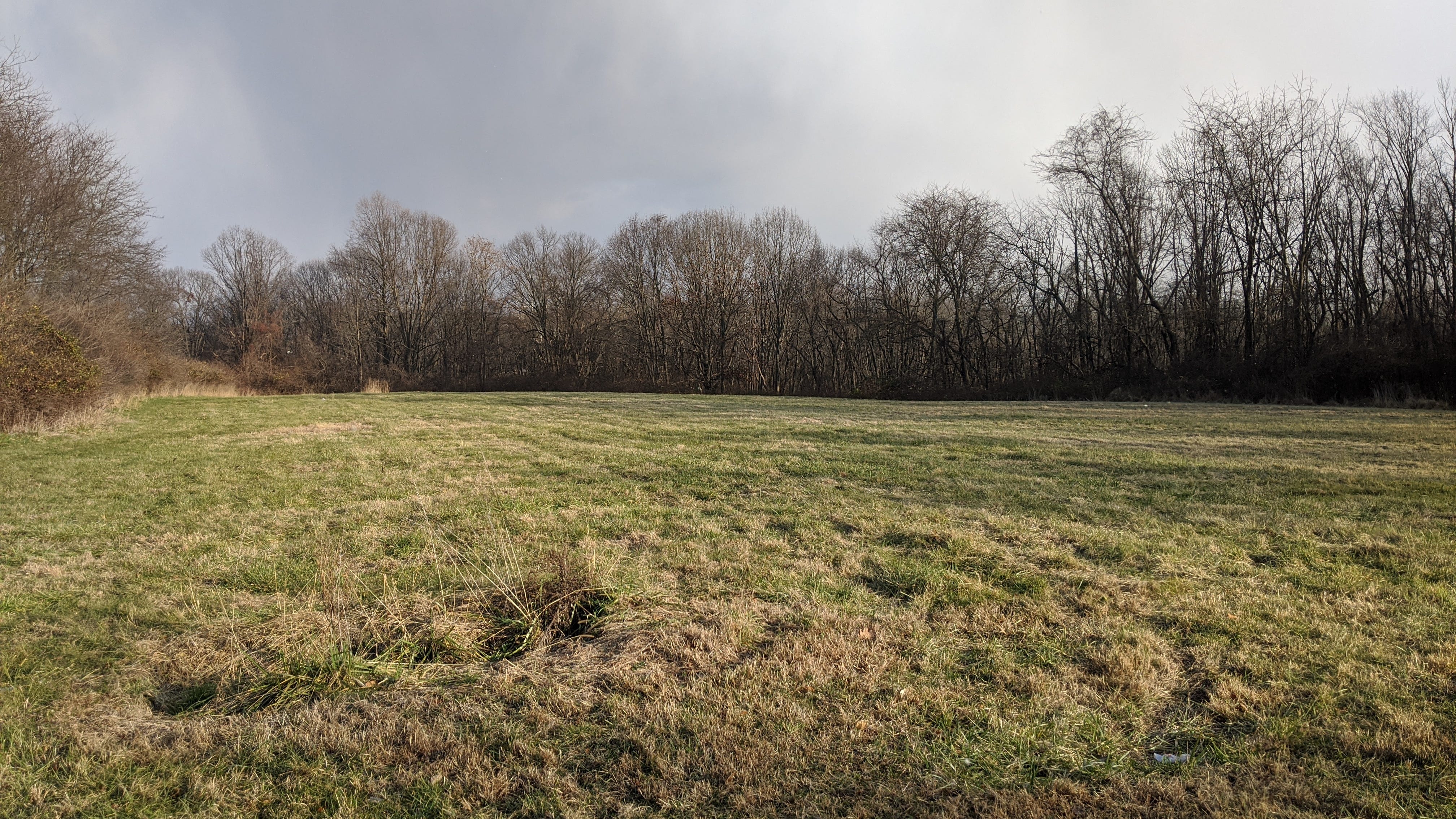 'They all deserve to have their name' — Working to ID Philly potter's field burials