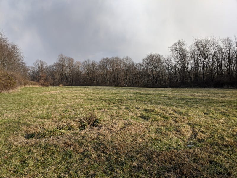 Potter's field in NE Philadelphia