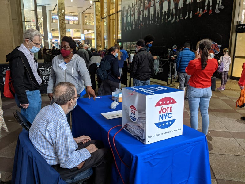 Early voting line