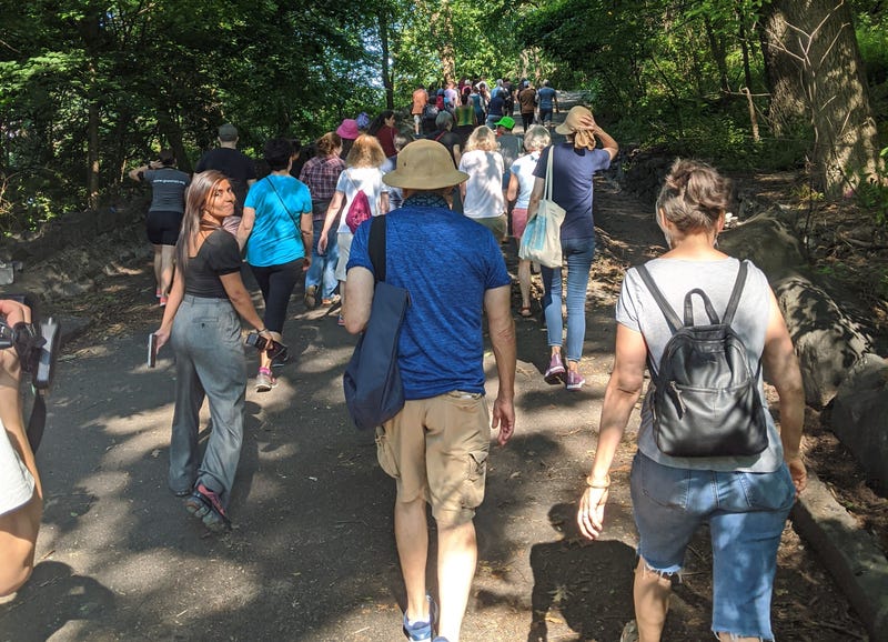 Walk