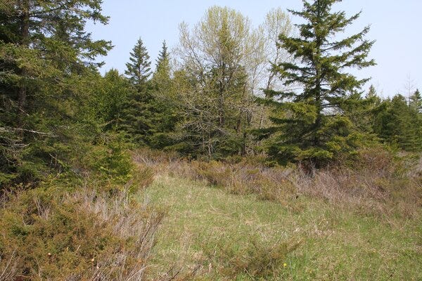 If you ever wanted some beach front property or acreage up north for hunting and other activities, an online auction of state-managed land that begins next month might be the big break you're looking for.