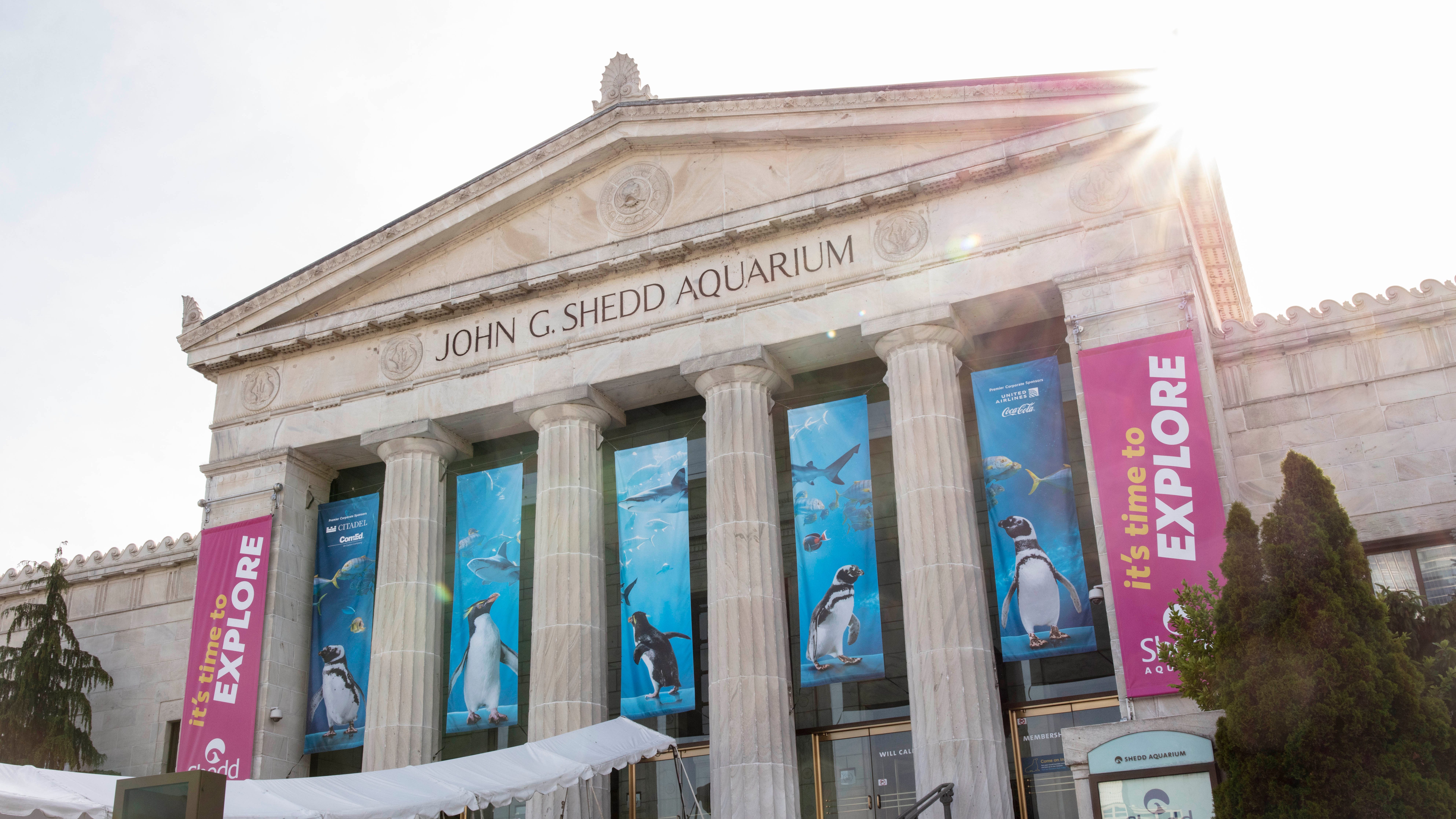 Shedd Aquarium plans to reopen to public Jan. 27