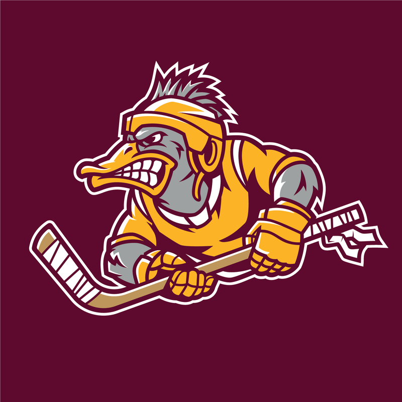 A new junior hockey team is coming to the Twin Cities. Forest Lake will be home to the Minnesota Mallards out of the North American Hockey League next season.
