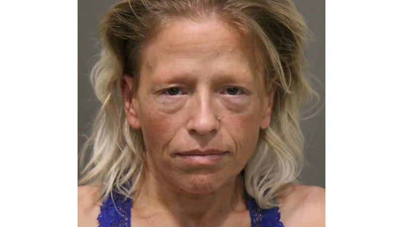 Michigan woman ordered to trial for crash that killed 2 men riding bikes in Make-A-Wish charity event
