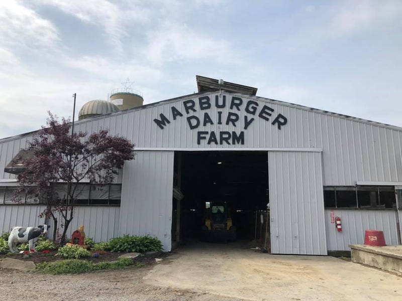 Marburger Dairy Farm