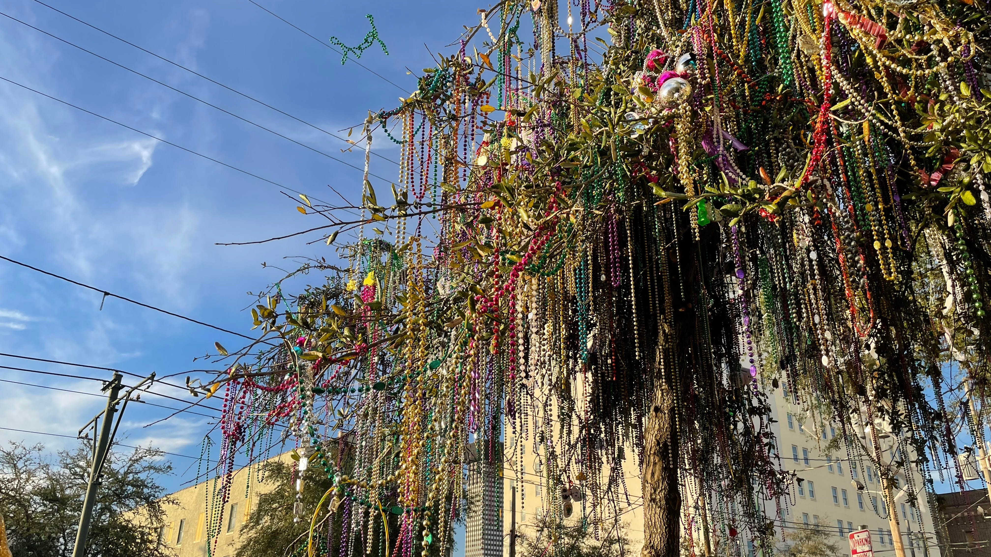 Mardi Gras parade routes and more!