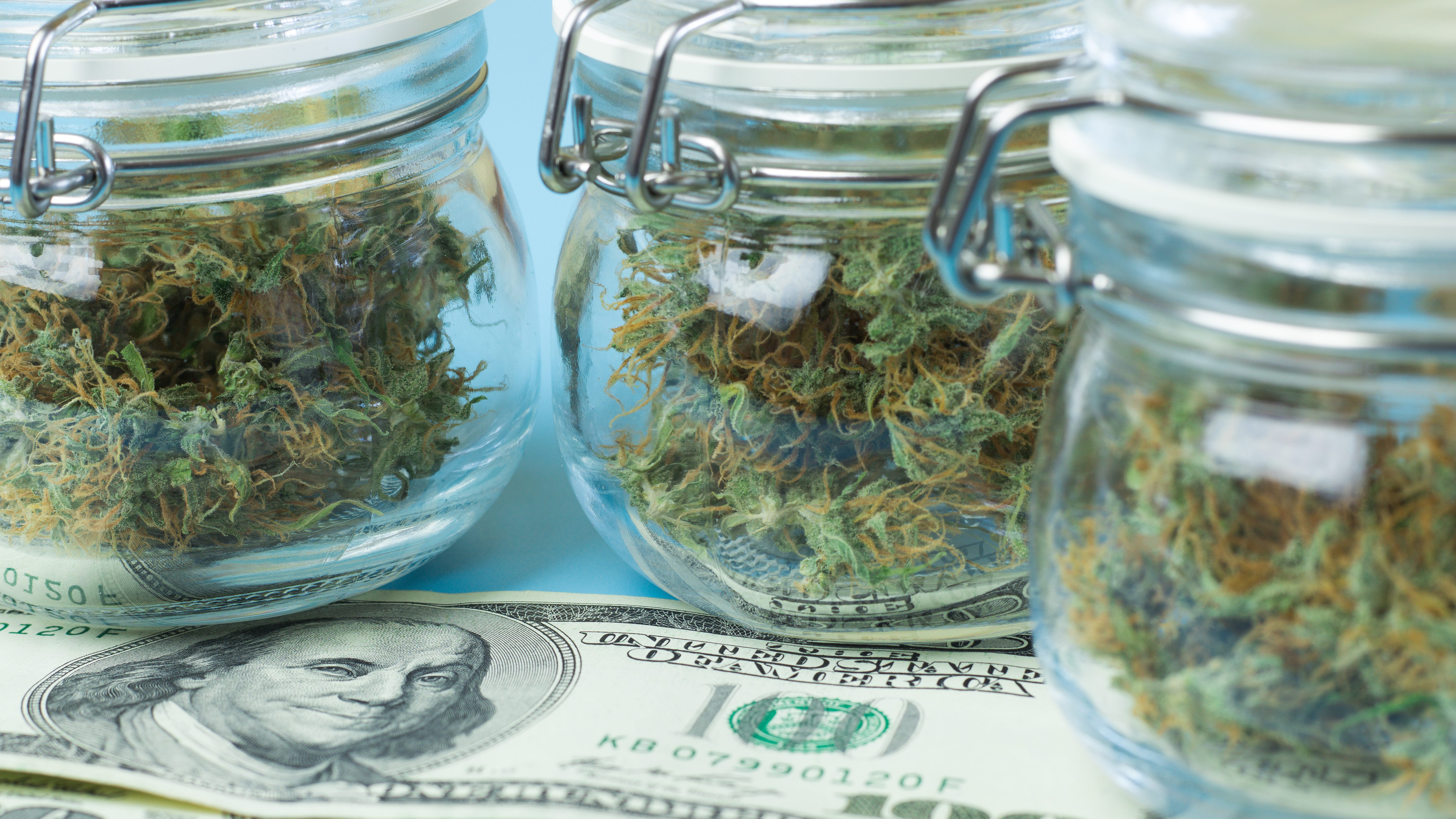 Oakland County pot shop looking to hire veterans as cannabis delivery drivers