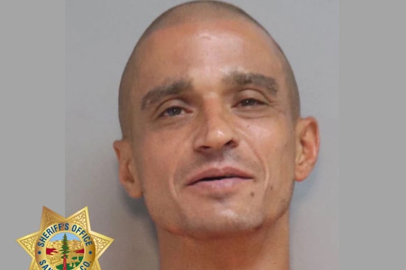 Booking photo of Mark Mechikoff
