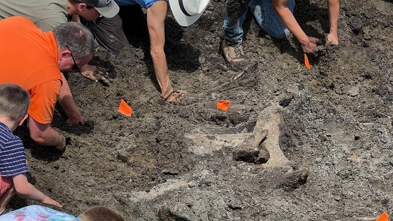 Is that a dinosaur?! Construction workers fixing Michigan roads stumbled upon a time machine. What can we learn about ourselves from this 10,000 year old skeleton?