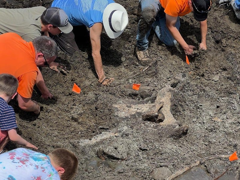 Crew discovers mastodon bones in West Michigan