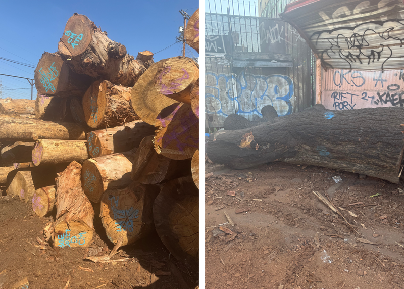 wood to be used in project