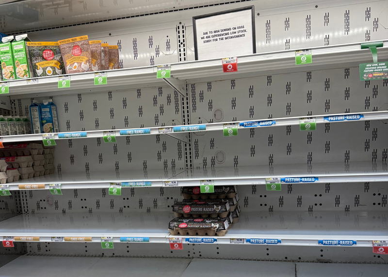 No eggs on shelf