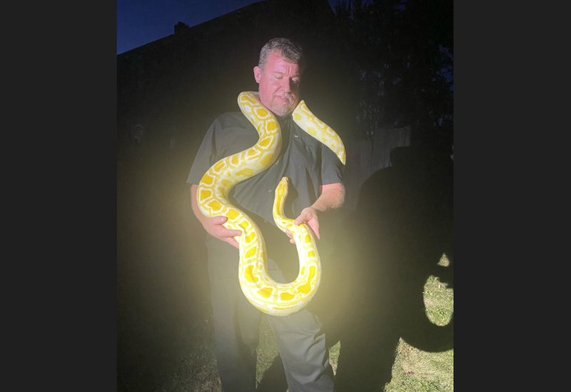 Snake found in McCandless
