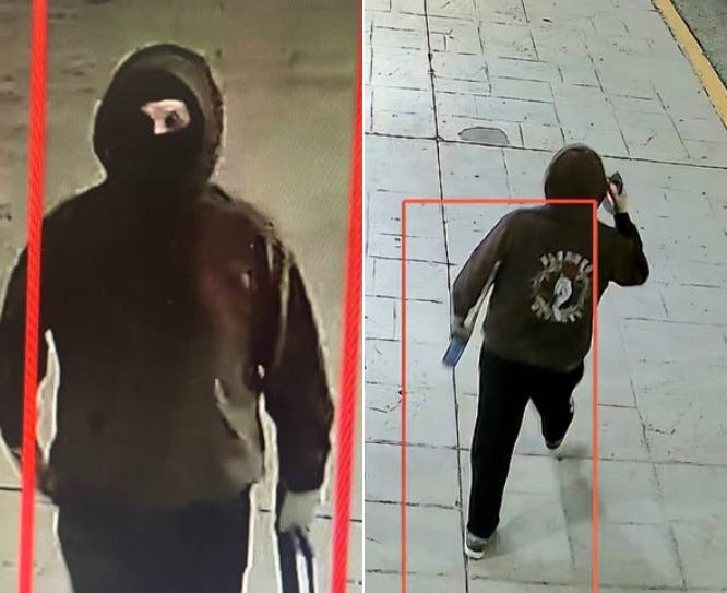 McDonald Police Car Vandal Suspect