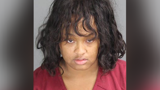 Woman who led Troy police on chase in stolen Tesla paid man $60 to get her car for test drive