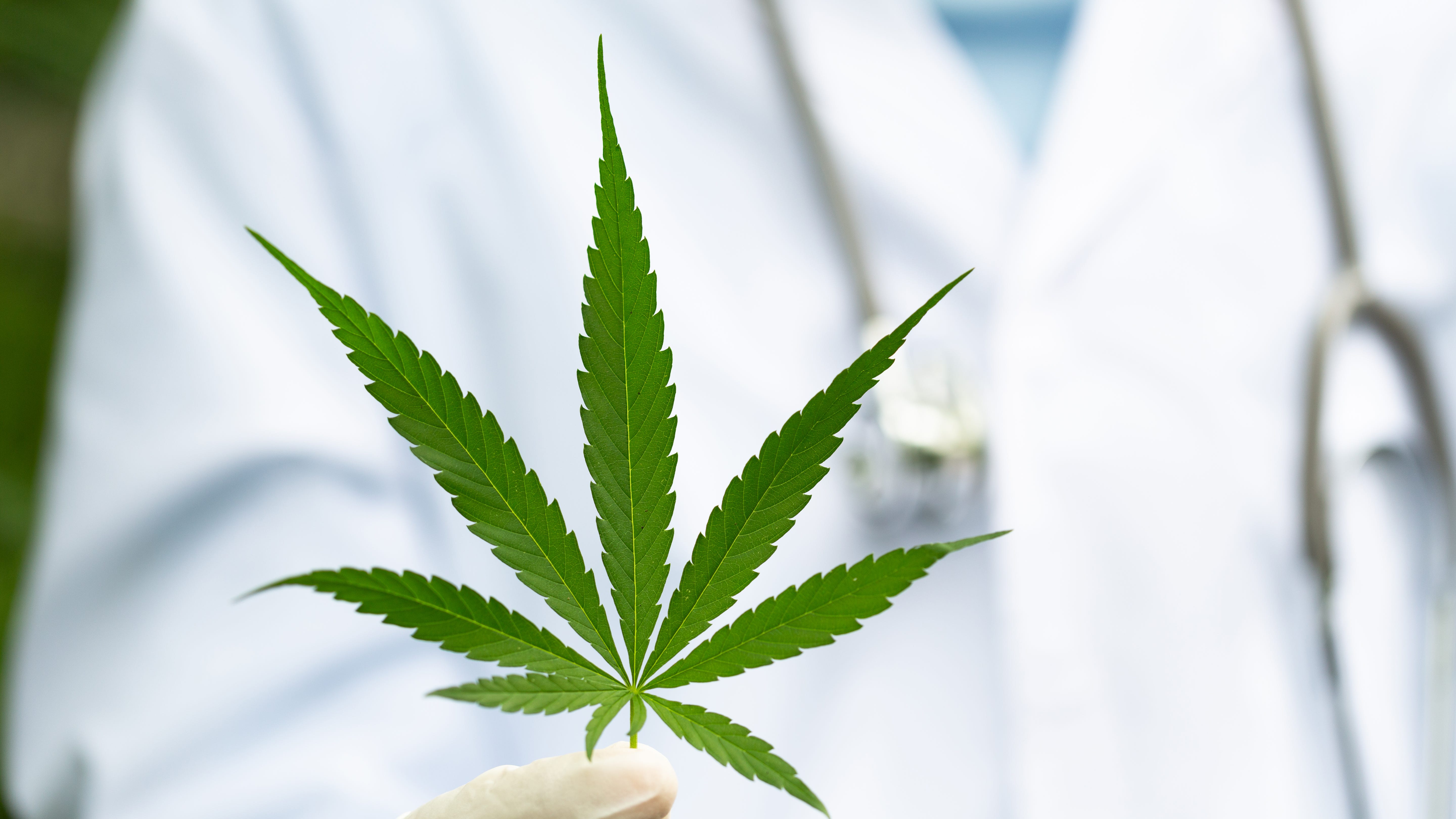 Michigan doctor suspended for issuing nearly 22,000 medical marijuana cards in one year