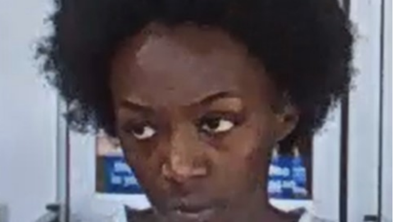 Police ID woman who allegedly assaulted cashier at Rochester Hills Meijer who told her she had too many items for self-checkout
