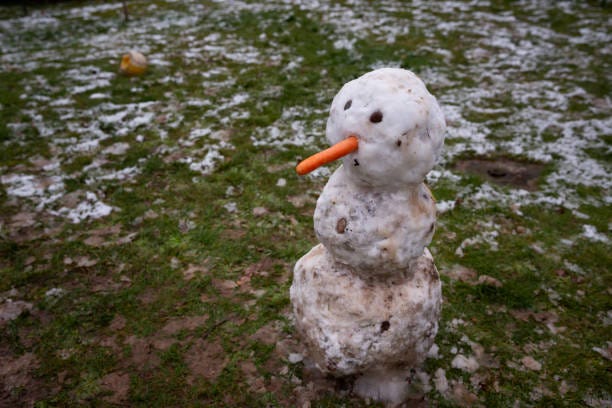 Snow Melting in New Orleans