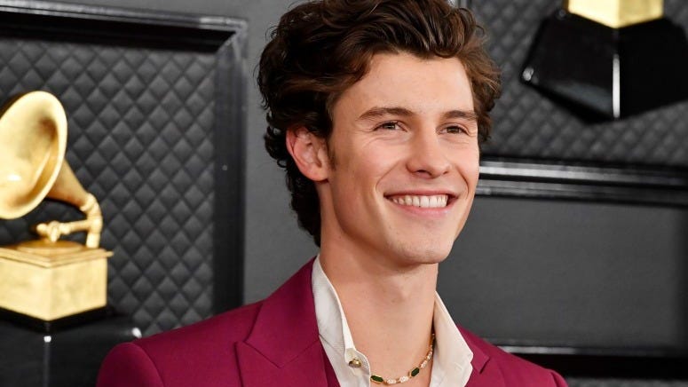 Shawn Mendes Donates $175,000 to Hometown Pediatric Coronavirus Relief