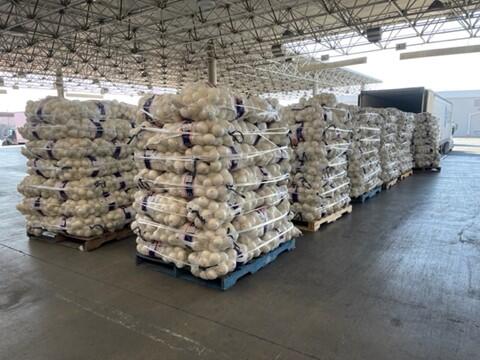The meth onion discovered by U.S. Customs and Border Protection on Feb. 20.