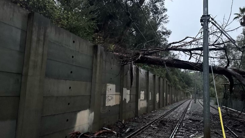 Gold Line Metro Service interrupted to clear debris
