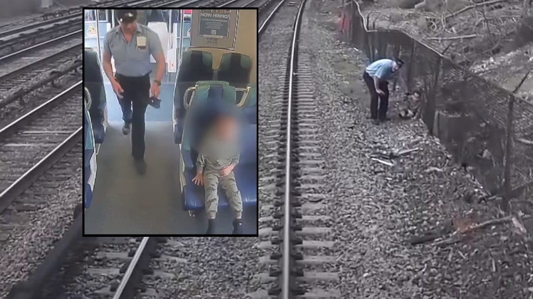  'TODDLER ON TRACKS': Metro-North workers rescue boy who wandered onto electrified 3rd rail, video shows