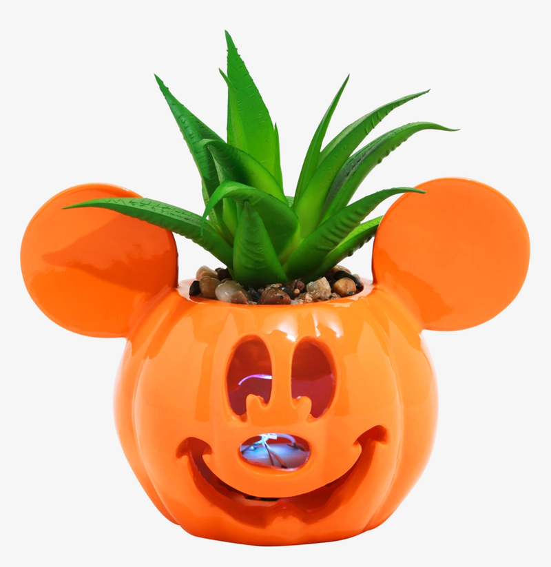 Disney Mickey Mouse Jack-O'-Lantern Faux Succulent Light-Up Planter