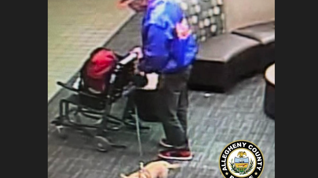 Man charged with abandoning dog at airport, dog needs significant dental work