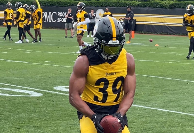Minkah Fitzpatrick catch in practice