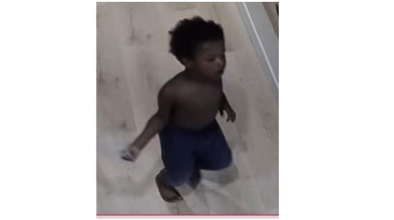 The search for a missing four-year-old boy with autism came to a tragic end 