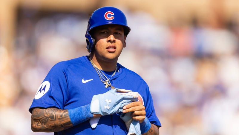Cubs prospect Moises Ballesteros