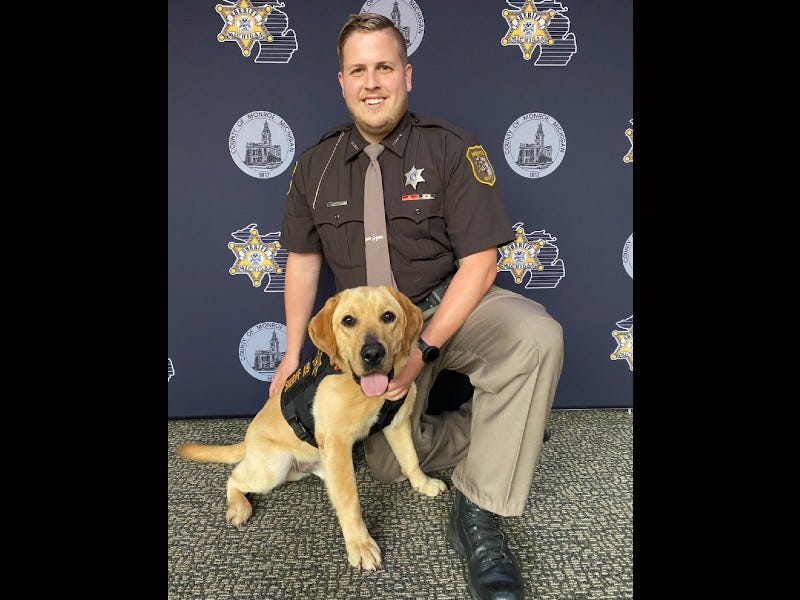 The Monroe County Sheriff's Office announced the addition of two new deputies, one of which stands just over two feet tall, has floppy ears, is covered in fur and has a jet black nose that can sniff out cell phones, SD cards, hard drives and more.