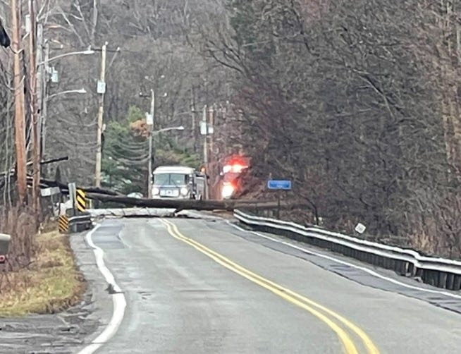 Tree falls in Moon Township