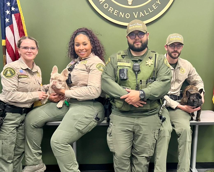 Deputies with dogs
