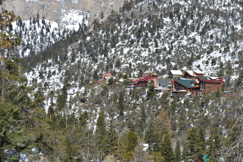 Home nestled in the Mount Charleston area