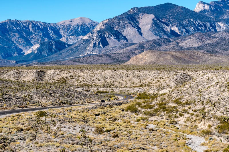 looking northwest to Mt Charleston
