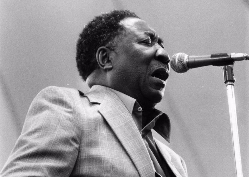 Muddy Waters Chicago Blues Musician