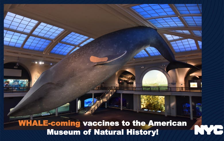 Natural history museum vaccines