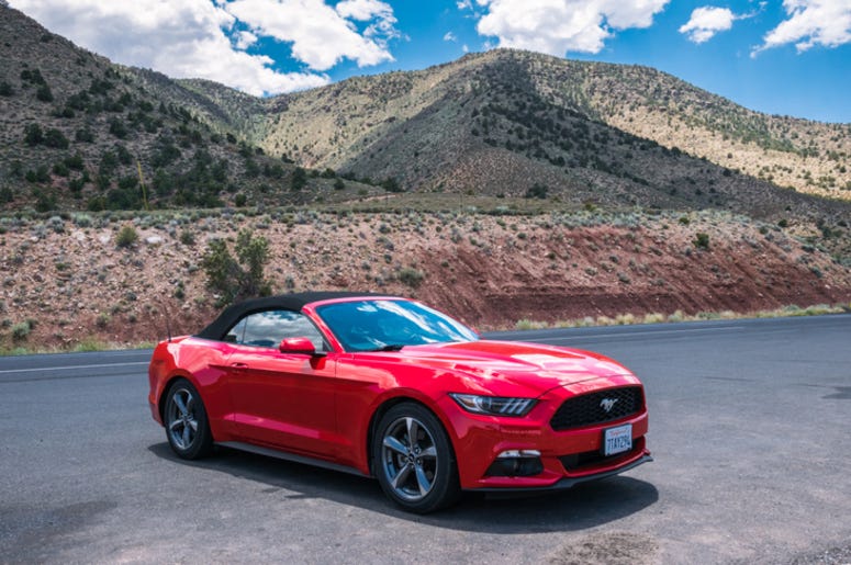 Mustang