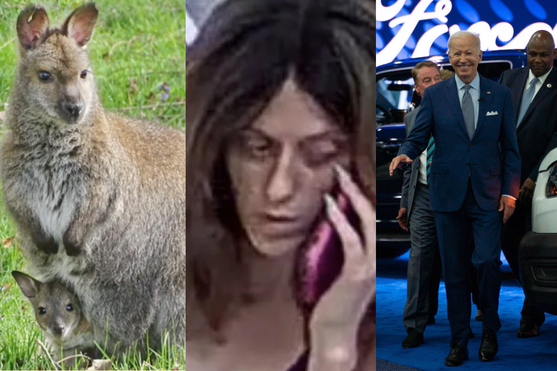 Wallaby and joey, woman wanted in Metro Detroit for theft, President Biden at Detroit Auto Show