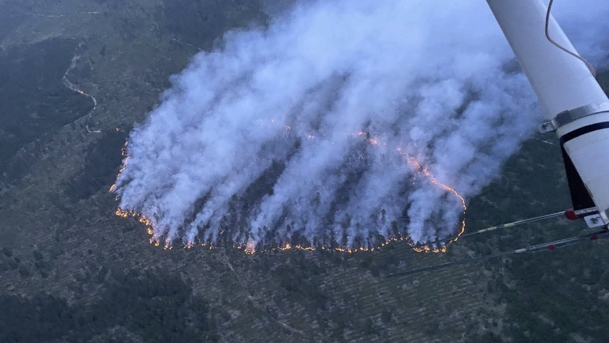 Firefighters working to suppress wildfire burning across 35-acres of forest in Michigan's Upper Peninsula