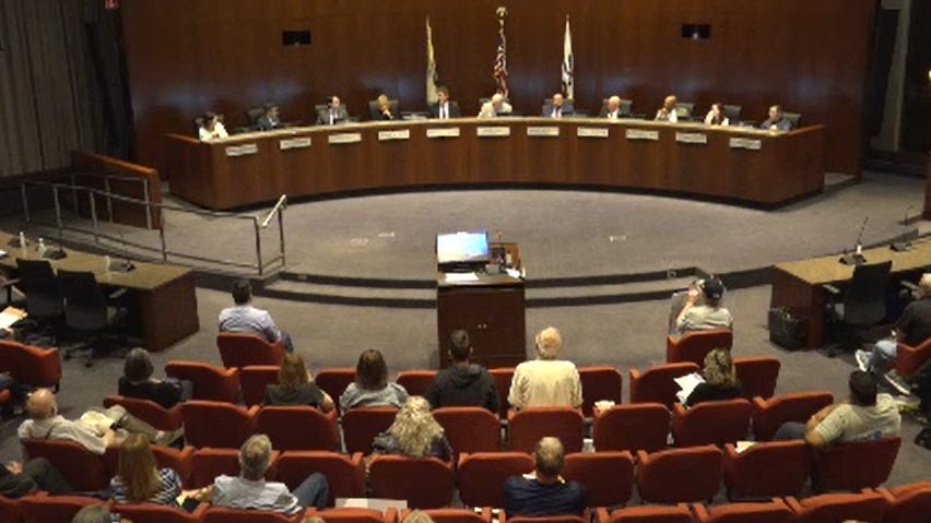 Naperville City Council overwhelmingly votes in favor of banning the sale of assault weapons
