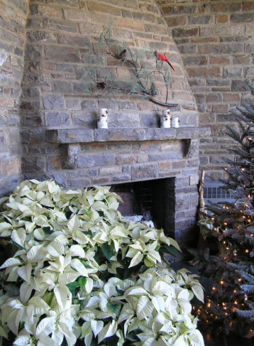  North Carolina Department of Natural and Cultural Resources