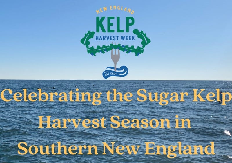 NE Kelp Harvest Week