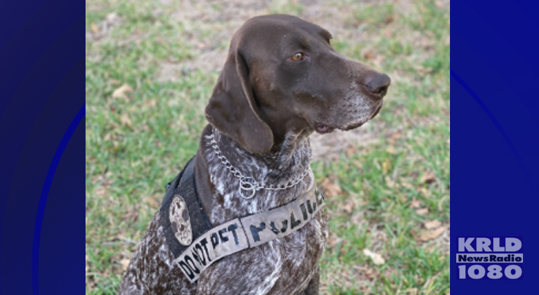 herodogawards.org