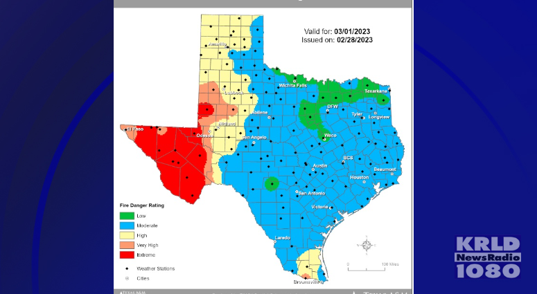 Texas A&M Forest Services