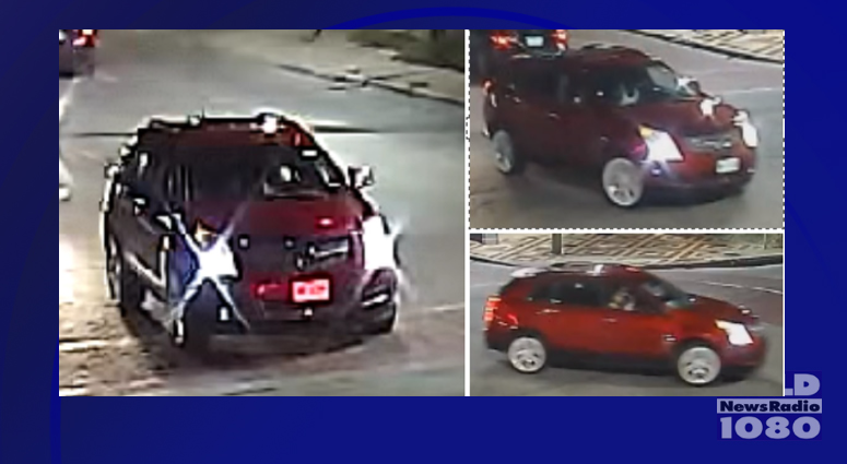 Hit and run suspect