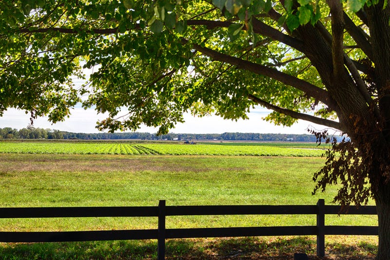 A farm in South Jersey.