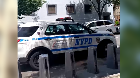 Man fatally shot in head in broad daylight on Bronx street: NYPD